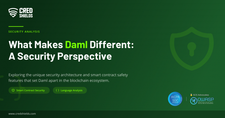 What Makes Daml Different: A Security Perspective